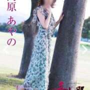 ヒメ日記 2025/02/16 21:12 投稿 高原あやの 五十路マダム富山店(カサブランカグループ)