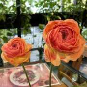 ヒメ日記 2025/03/13 21:42 投稿 高原あやの 五十路マダム富山店(カサブランカグループ)