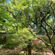 ヒメ日記 2025/05/05 16:38 投稿 高原あやの 五十路マダム富山店(カサブランカグループ)