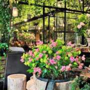 ヒメ日記 2025/06/06 00:18 投稿 高原あやの 五十路マダム富山店(カサブランカグループ)