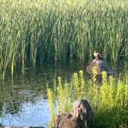 ヒメ日記 2025/08/17 01:04 投稿 高原あやの 五十路マダム富山店(カサブランカグループ)