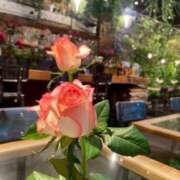 ヒメ日記 2025/09/21 09:14 投稿 高原あやの 五十路マダム富山店(カサブランカグループ)