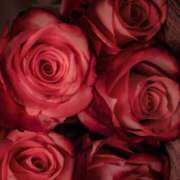 ヒメ日記 2025/10/19 13:18 投稿 高原あやの 五十路マダム富山店(カサブランカグループ)