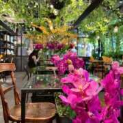 ヒメ日記 2025/11/09 17:24 投稿 高原あやの 五十路マダム富山店(カサブランカグループ)