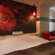 ヒメ日記 2025/11/12 14:52 投稿 高原あやの 五十路マダム富山店(カサブランカグループ)