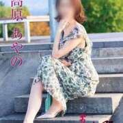 ヒメ日記 2025/11/14 12:52 投稿 高原あやの 五十路マダム富山店(カサブランカグループ)