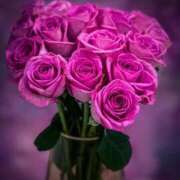 ヒメ日記 2025/11/22 21:32 投稿 高原あやの 五十路マダム富山店(カサブランカグループ)