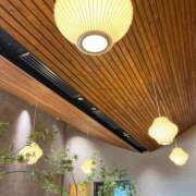 ヒメ日記 2025/11/23 20:42 投稿 高原あやの 五十路マダム富山店(カサブランカグループ)