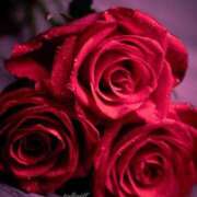 ヒメ日記 2025/11/29 21:46 投稿 高原あやの 五十路マダム富山店(カサブランカグループ)