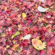 ヒメ日記 2025/11/30 23:04 投稿 高原あやの 五十路マダム富山店(カサブランカグループ)