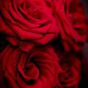 ヒメ日記 2025/12/03 21:40 投稿 高原あやの 五十路マダム富山店(カサブランカグループ)