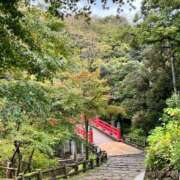 ヒメ日記 2025/12/18 10:34 投稿 高原あやの 五十路マダム富山店(カサブランカグループ)