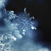 ヒメ日記 2026/01/11 14:18 投稿 高原あやの 五十路マダム富山店(カサブランカグループ)