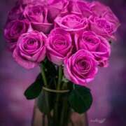 ヒメ日記 2026/02/21 12:48 投稿 高原あやの 五十路マダム富山店(カサブランカグループ)