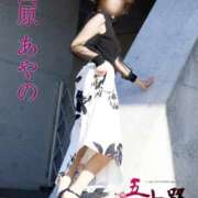 ヒメ日記 2026/04/09 20:24 投稿 高原あやの 五十路マダム富山店(カサブランカグループ)