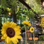 ヒメ日記 2026/07/08 17:30 投稿 高原あやの 五十路マダム富山店(カサブランカグループ)