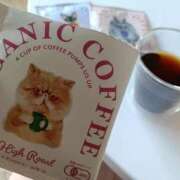 ヒメ日記 2025/04/20 10:36 投稿 かい あなたの願望即！叶えます～本格的夜這い痴漢専門店～