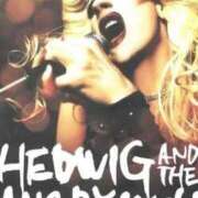 ヒメ日記 2025/08/14 19:02 投稿 ★黒崎しぐれ★ CLUB39（クラブサンキュー）