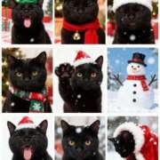 ヒメ日記 2025/12/23 23:22 投稿 ★黒崎しぐれ★ CLUB39（クラブサンキュー）