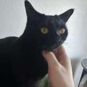 ★黒崎しぐれ★ まもなく CLUB39（クラブサンキュー）