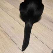 ヒメ日記 2026/03/29 22:52 投稿 ★黒崎しぐれ★ CLUB39（クラブサンキュー）