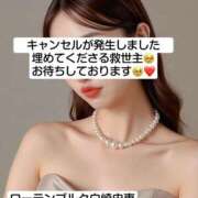 ヒメ日記 2024/12/14 12:07 投稿 白崎史恵 ローテンブルク