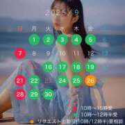 ヒメ日記 2025/08/24 18:31 投稿 白崎史恵 ローテンブルク