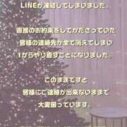 ヒメ日記 2025/11/03 14:27 投稿 白崎史恵 ローテンブルク