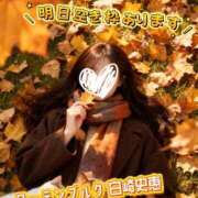 ヒメ日記 2025/11/22 13:24 投稿 白崎史恵 ローテンブルク