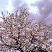 白崎史恵 明日は❤️ ローテンブルク