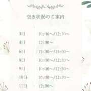 ヒメ日記 2026/09/01 16:46 投稿 白崎史恵 ローテンブルク