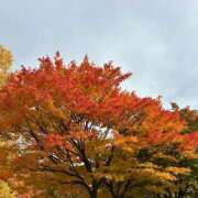 ヒメ日記 2025/10/29 23:18 投稿 【もも】美巨乳Fカップと美顔♪ バブルリングプラス