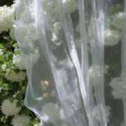 ヒメ日記 2026/03/01 08:12 投稿 【もも】美巨乳Fカップと美顔♪ バブルリングプラス