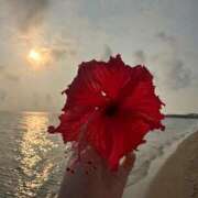 ヒメ日記 2026/04/14 12:19 投稿 【もも】美巨乳Fカップと美顔♪ バブルリングプラス