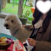 ヒメ日記 2026/04/19 12:20 投稿 【もも】美巨乳Fカップと美顔♪ バブルリングプラス