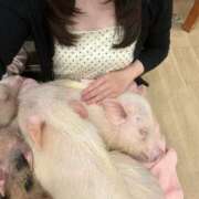 ヒメ日記 2026/05/18 07:48 投稿 【もも】美巨乳Fカップと美顔♪ バブルリングプラス