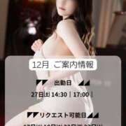 滝沢　蘭 12月スケジュール更新 川崎南町人妻高級ソープ エル・カーヒル(ELCURHIL)秘密の刻