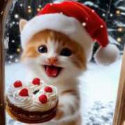 ヒメ日記 2024/12/19 11:42 投稿 高田真衣 五十路マダム 仙台店