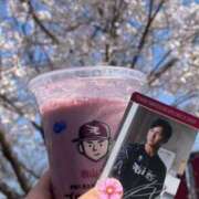 ヒメ日記 2025/04/29 17:06 投稿 高田真衣 五十路マダム 仙台店