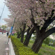 ヒメ日記 2025/04/29 23:46 投稿 高田真衣 五十路マダム 仙台店