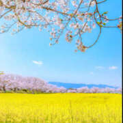 ヒメ日記 2025/05/01 10:30 投稿 高田真衣 五十路マダム 仙台店