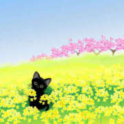 ヒメ日記 2025/05/01 14:36 投稿 高田真衣 五十路マダム 仙台店