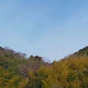 ヒメ日記 2025/03/08 11:05 投稿 なな 奥様の実話 なんば店