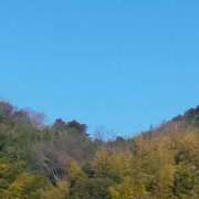 ヒメ日記 2025/03/09 10:55 投稿 なな 奥様の実話 なんば店