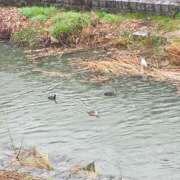 ヒメ日記 2025/03/11 09:04 投稿 なな 奥様の実話 なんば店