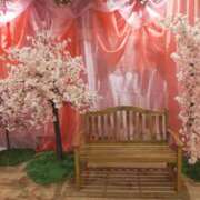 ヒメ日記 2025/03/27 14:37 投稿 なな 奥様の実話 なんば店