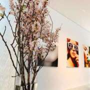 ヒメ日記 2025/04/08 08:20 投稿 なな 奥様の実話 なんば店