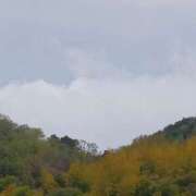 ヒメ日記 2025/04/11 10:42 投稿 なな 奥様の実話 なんば店