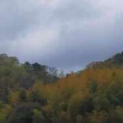 ヒメ日記 2025/04/13 11:08 投稿 なな 奥様の実話 なんば店