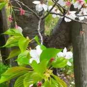 ヒメ日記 2025/04/19 07:45 投稿 なな 奥様の実話 なんば店